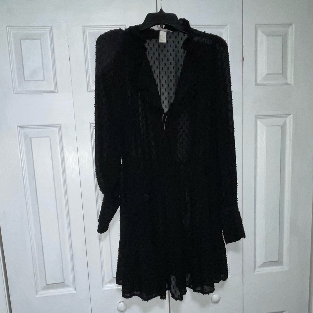 Sheer Black Dress